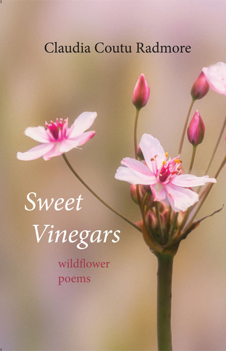 Sweet Vinegars